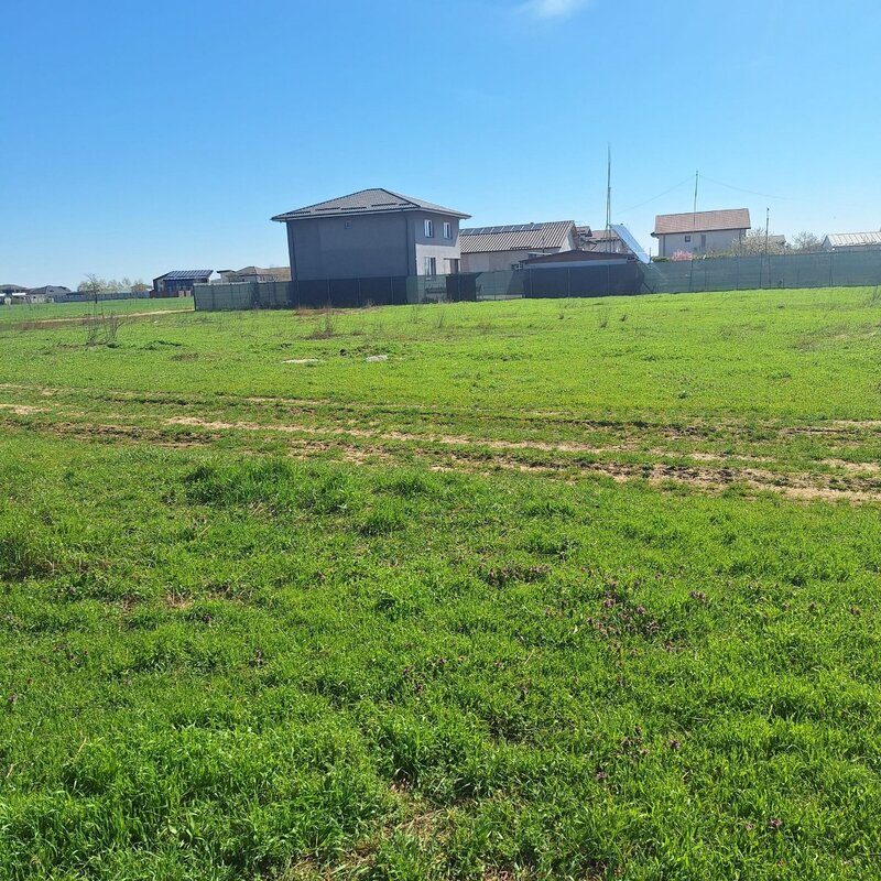 Dragomiresti Vale