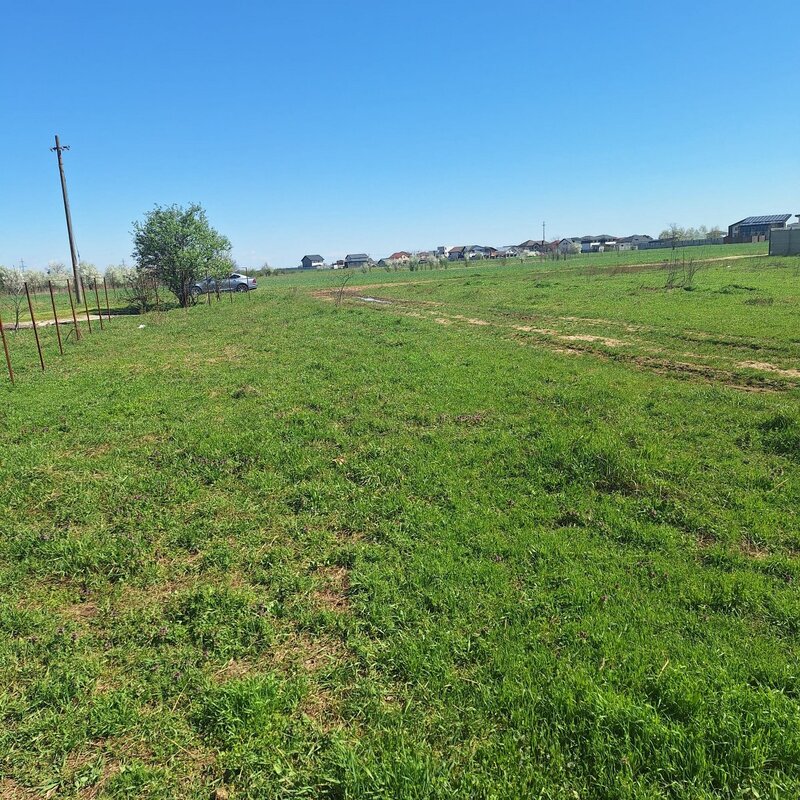 Dragomiresti Vale