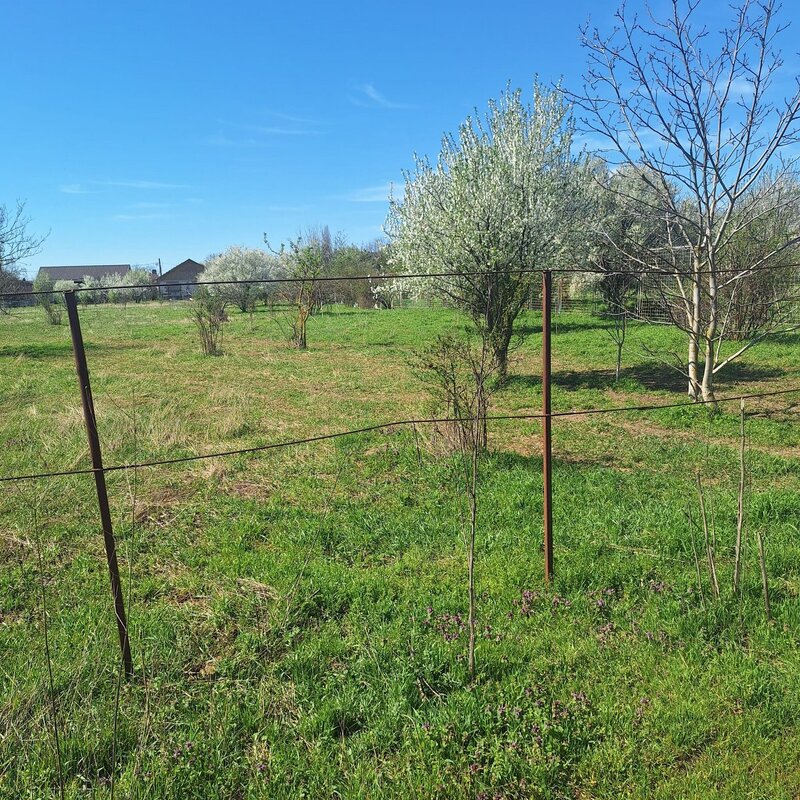Dragomiresti Vale