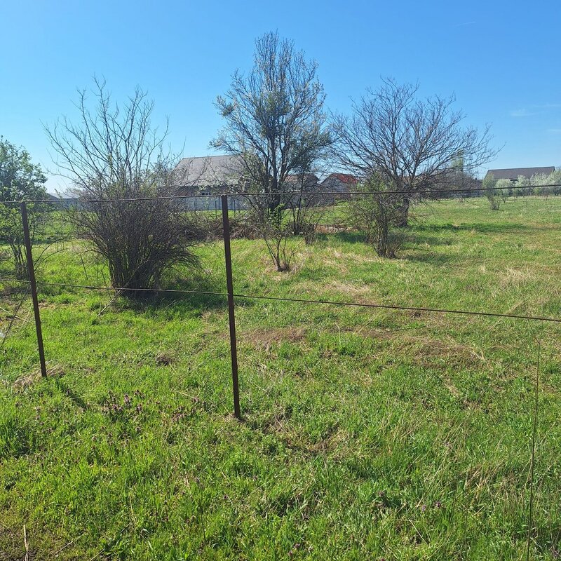 Dragomiresti Vale