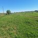 Dragomiresti Vale