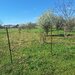 Dragomiresti Vale