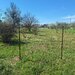 Dragomiresti Vale
